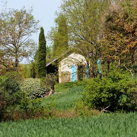 Gite Dar Kayla Lisle-sur-Tarn Esterno foto